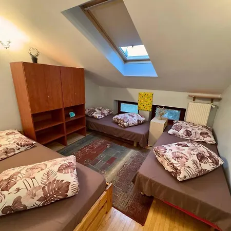 Auberge de jeunesse Vector *