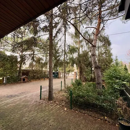Vector Hostel *