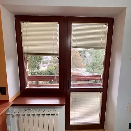 Vector * Варшава