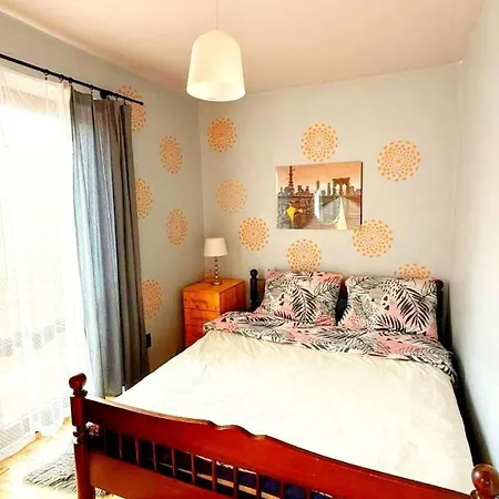 Vector Варшава