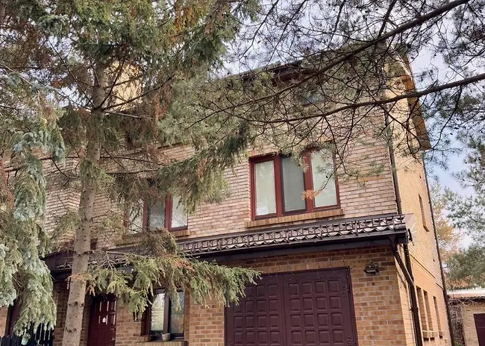 Vector * Варшава