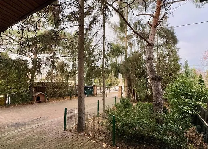 Vector Хостел *