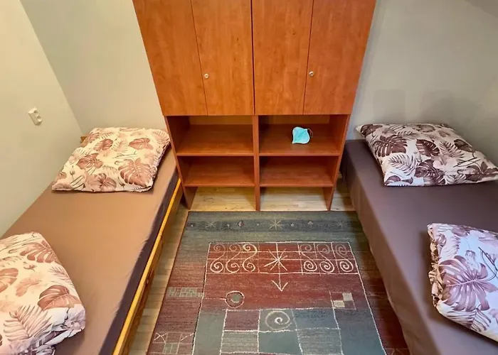 Хостел Vector *