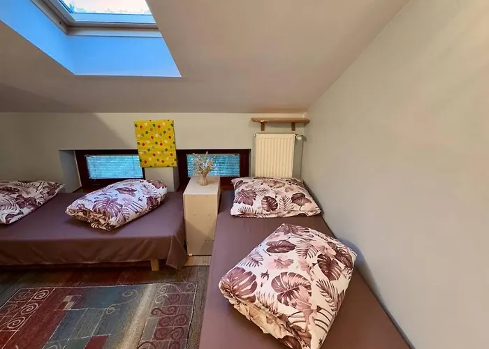 Vector Хостел Варшава