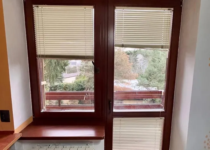 Vector * Варшава