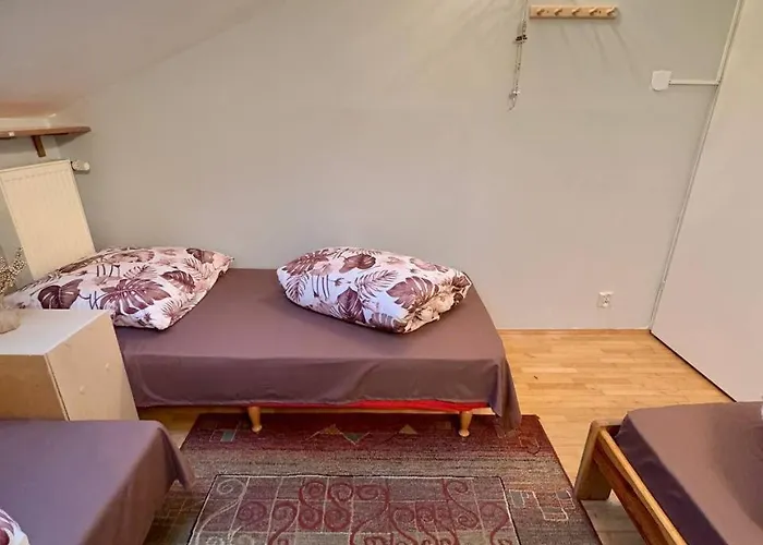 Хостел Vector *