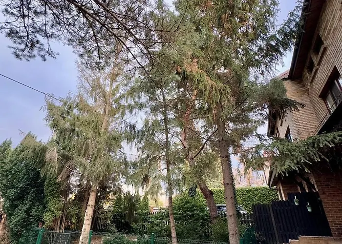 Vector * Варшава