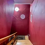 Vector